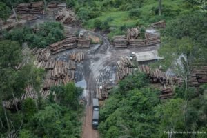 Áres protegidas da Amazônia sob risco
